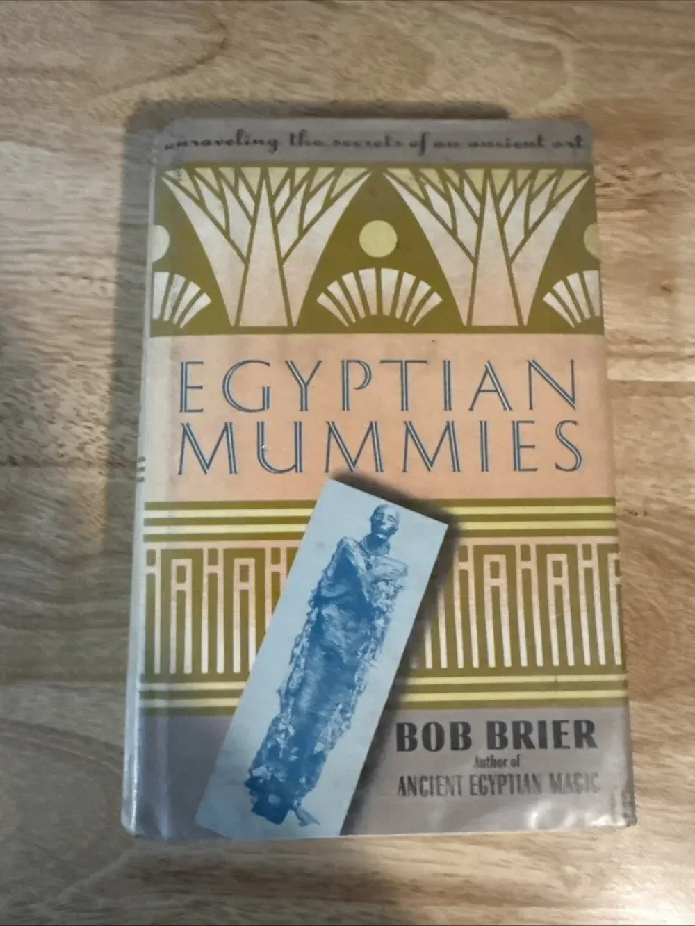 Bob Brier / Egyptian Mummies Unraveling the Secrets of an Ancient Art 1st 1994